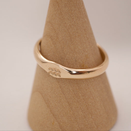 Sternzeichenring